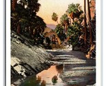 Palma Canyon Palma Molle California Ca Unp Non Usato Wb Cartolina O20 - $4.04