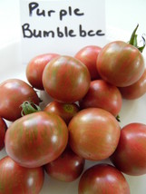 Purple Bumblebeetomato Seeds We Sell 7 Kinds Of Bumblebee Tomatoes Fresh Garden  - £8.60 GBP