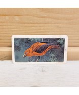 Red Rose Tea Mini Trade Card 2&quot; x 1&quot; Vintage 1966 S9N42 Red Crossbill Birds - $27.42 CAD