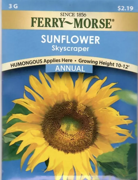 Sunflower Skyscraper Flower Seeds Non-Gmo - Ferry Morse 12/24 Fresh Garden - £6.39 GBP