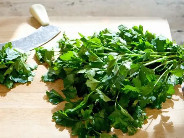 250 Leisure Cilantro Coriander Coriandrum Sativum Herb Vegetable Fresh Seeds - £13.32 GBP