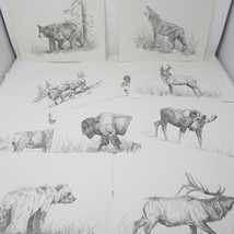 Western Wildlife Portfolio 12 animal sketch prints James Jokerst artist ... - £20.06 GBP