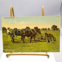 Antique Cook &amp; Morgan Postcard, Raking Iowa Hay, Iowa Farm Scenes Series... - £16.22 GBP