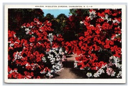 Azaleas in Middleton Gardens Charleston  SC V-Mail Linen Postcard N24 - £3.12 GBP