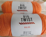 Big Twist Value lot of 2 Coral Dye Lot 650096 - $11.99