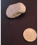 Natural Hawaiian Lava Rock Stone Souvenir Unique Mineral Collectible Hea... - $9.99
