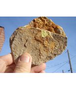 COFFINITE URANIUM ROCK 10.5 OZ 39,943. CPM   $39.00 +$12.80 S/H - $39.00