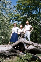 1950s Swallow Cliff Fallen Tree Friends Palos Park Red-Border Kodachrome Slide - £2.74 GBP