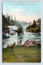 Upper Tumwater Falls Elk Scene Olympia Washington WA UNP DB Postcard Q7 - £7.70 GBP