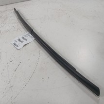 Ford Ecosport Door Glass Window Weather Strip Trim Front Right Passenger... - $31.94