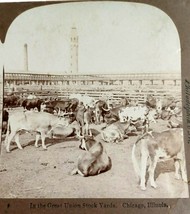 Union Cattle Stock Yards Chicago Illinois Universal View Co Stereoview P... - £9.34 GBP