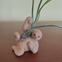 Sloth Air Plant Holder with Tillandsia Butzii Airplant, resin 3" animal planter image 2