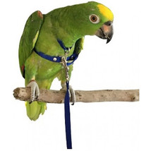 Pet Bird Harness - Medium - $44.27