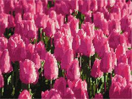 Pepita Needlepoint kit: Tulips, 12&quot; x 9&quot; - $86.00+