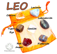 LEO ~ Mini Zodiac Healing Crystals ~ Pocket Stone Set ~ Astrology Gift - £11.42 GBP
