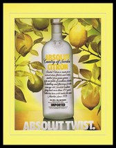 1990 Absolut Citron Vodka 11x14 Framed ORIGINAL Vintage Advertisement - $34.64