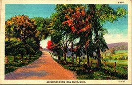 Generic Country Road Scenic Greetings From Iron River Michigan MI Linen Postcard - £2.96 GBP