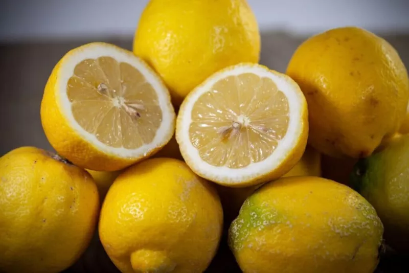 5 Bonnie Brae Lemon Seeds for Garden Planting - $7.97