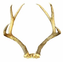 Giant  Mule Deer Rack Antlers Horns Taxidermy Rustic Hunting Skull Plate - £65.77 GBP