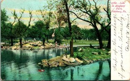 Vtg Cartolina 1906 Allegheny Park Lago Pittsburg, Pa - £3.99 GBP