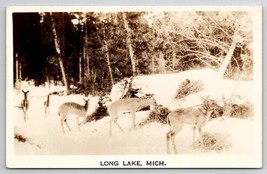 Long Lake MI Beautiful Deer In Snow RPPC Real Photo Postcard V27 - £5.46 GBP