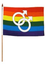 AES 12x18 12&quot;x18&quot; Wholesale Lot of 6 Gay Pride Double Mars Stick Flag Wood Staff - £15.88 GBP