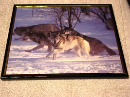 WOLVES WOLF 8X10 FRAMED PICTURE PRINT #5 - $12.98