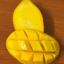 Item image 1 image 1