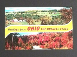 Ohio OH Letter Greetings Buckeye State Autumn Dexter Press c1960s Vtg Po... - $4.99