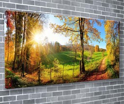 Sunshine In The Meadow Canvas Print Nature Wall Art 55x24 Inch Ready To Hang  - £70.49 GBP