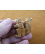Y-SQU-26) little spotted SQUIRREL stone carving SOAPSTONE PERU love squi... - €7,34 EUR