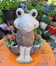 12inch Pocket Frog Planter - £27.61 GBP