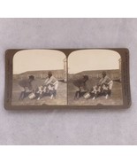 Black Americana Boys Stereoview Stereograph Card 5010 &quot;Git on Quick Rastus&quot; - $42.95