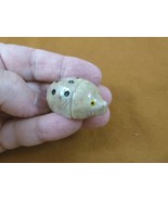 (Y-LAD-50) tan Ladybug ladybird beetle love bugs figurine carving SOAPST... - $163.26 MXN