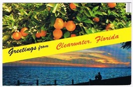 Florida Postcard Clearwater Beach Oranges Sunsey - £2.33 GBP