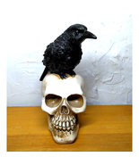 Crow Sitting on a Skull, Halloween Home Decor - Poe &quot;Quote the Raven!&quot; 6... - $17.77