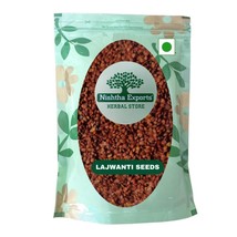 Mimosa pudica-Lajwanti Seeds-Lajvanti Beej-Chui Mui-Raw Herbs-Jadi Booti - £14.15 GBP+
