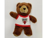 1993 Vintage CHICAGO BULLS Shirt Teddy Bear Sports Stuff Good Stuff Corp... - $48.11