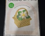 LEISURE ARTS NEW Canvas Capers Plastic Canvas Kit Daisy Box Craft #302 C... - $10.88