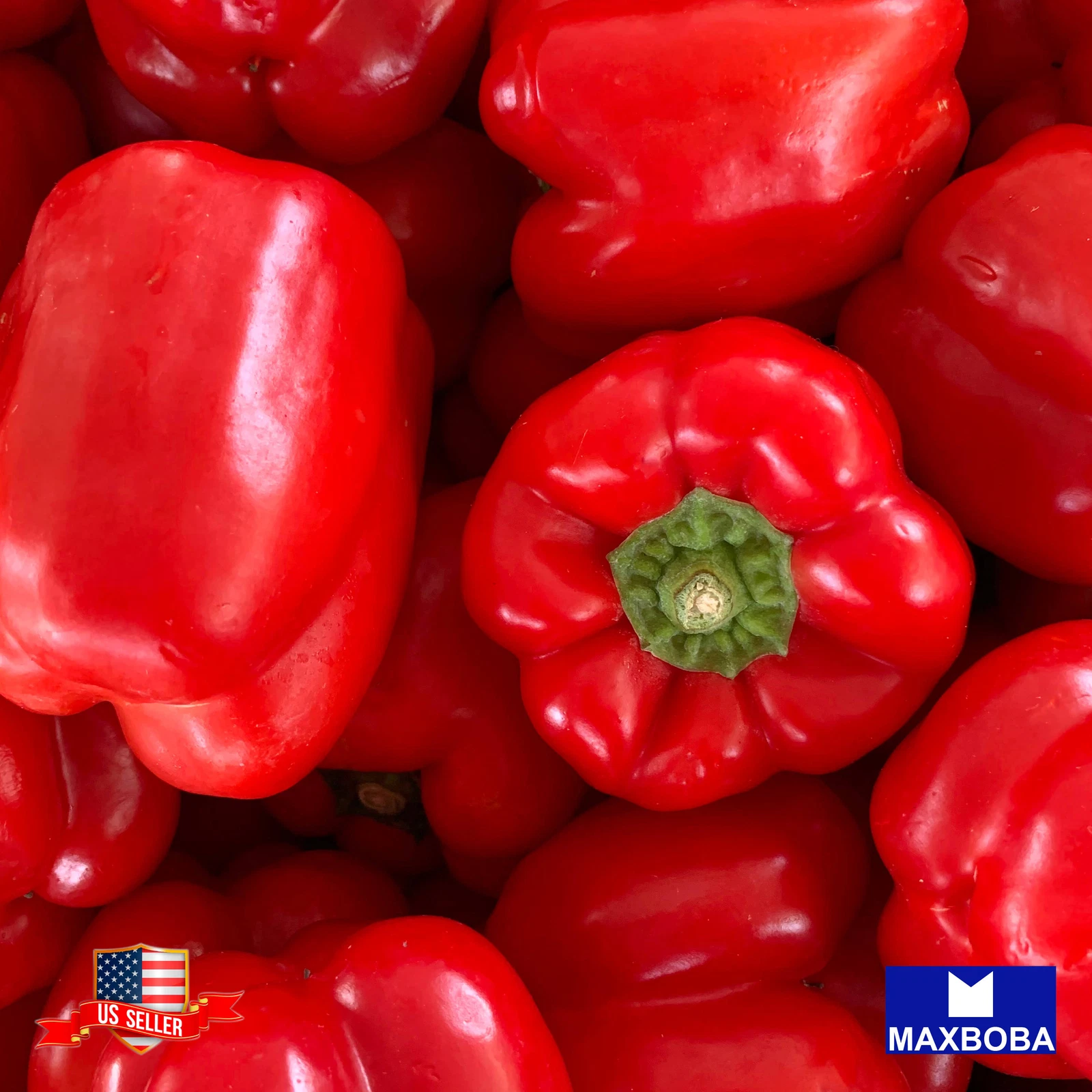 75 Pepper Sweet Seeds -Yolo Wonder L  Non-GMO Heirloom  Vegetable BOGO 5... - $9.08