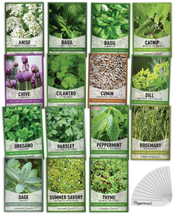15 Herb Seeds For Planting Varieties Heirloom Non-GMO 5200+ Seeds Indoor... - $26.02