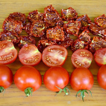 50 Seeds Mountain Magic Tomato Vegetable Fresh Seeds - $7.40