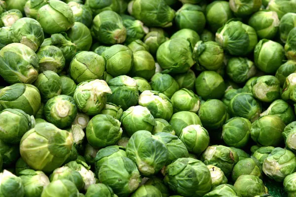500 Heirloom Brussel Sprout Brassica Oleracea Green Long Island Vegetable Seeds  - $9.00
