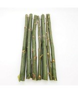 50 Austree Hybrid Willow Trees Fast Growing Shade Windbreak Cuttings Rea... - $80.46 CAD