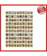 100 Assorted Flower Seed Packets - 20+ Varieties for a Vibrant Summer Ga... - $81.25 CAD