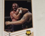 Jake The Snake Roberts Trading Card WWE Raw 2013 #95 - $1.97