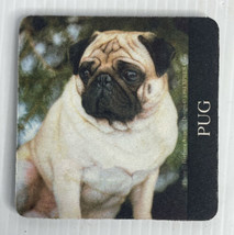 Xpress Corp Canine Coasters Box Of 4 Barbara Augello Pug Non-Skid Rubber - £7.75 GBP