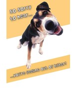 So Sorry To Hear You&#39;re Feeling Out Of Kilter - Get Well Greeting Card -... - $51.04 MXN