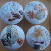 Seashell Cabinet Knobs W/ Sea shell @Pretty@ #4 (4) - £13.45 GBP