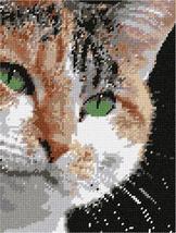 Pepita Needlepoint kit: Serious Cat, 7&quot; x 9&quot; - $50.00+